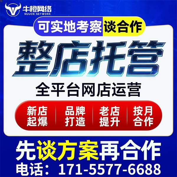 银川电商代运营