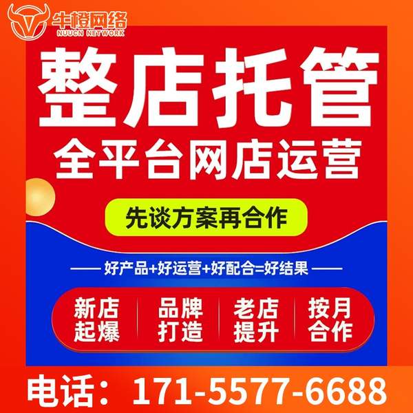 银川电商代运营
