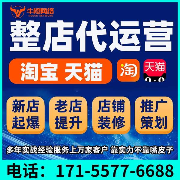 银川电商代运营