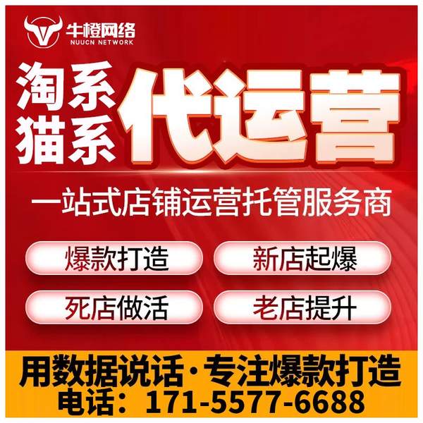 银川电商代运营